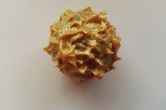 Truffe au Marc de Champagne